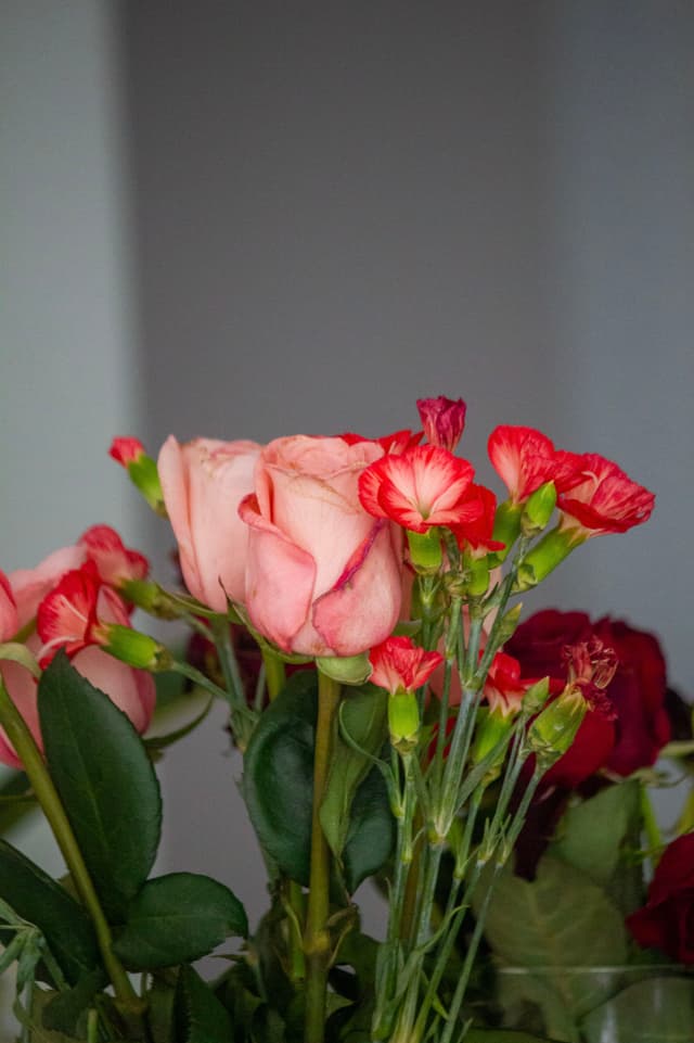 A bouquet of pink and red roses with green leaves against a neutral background