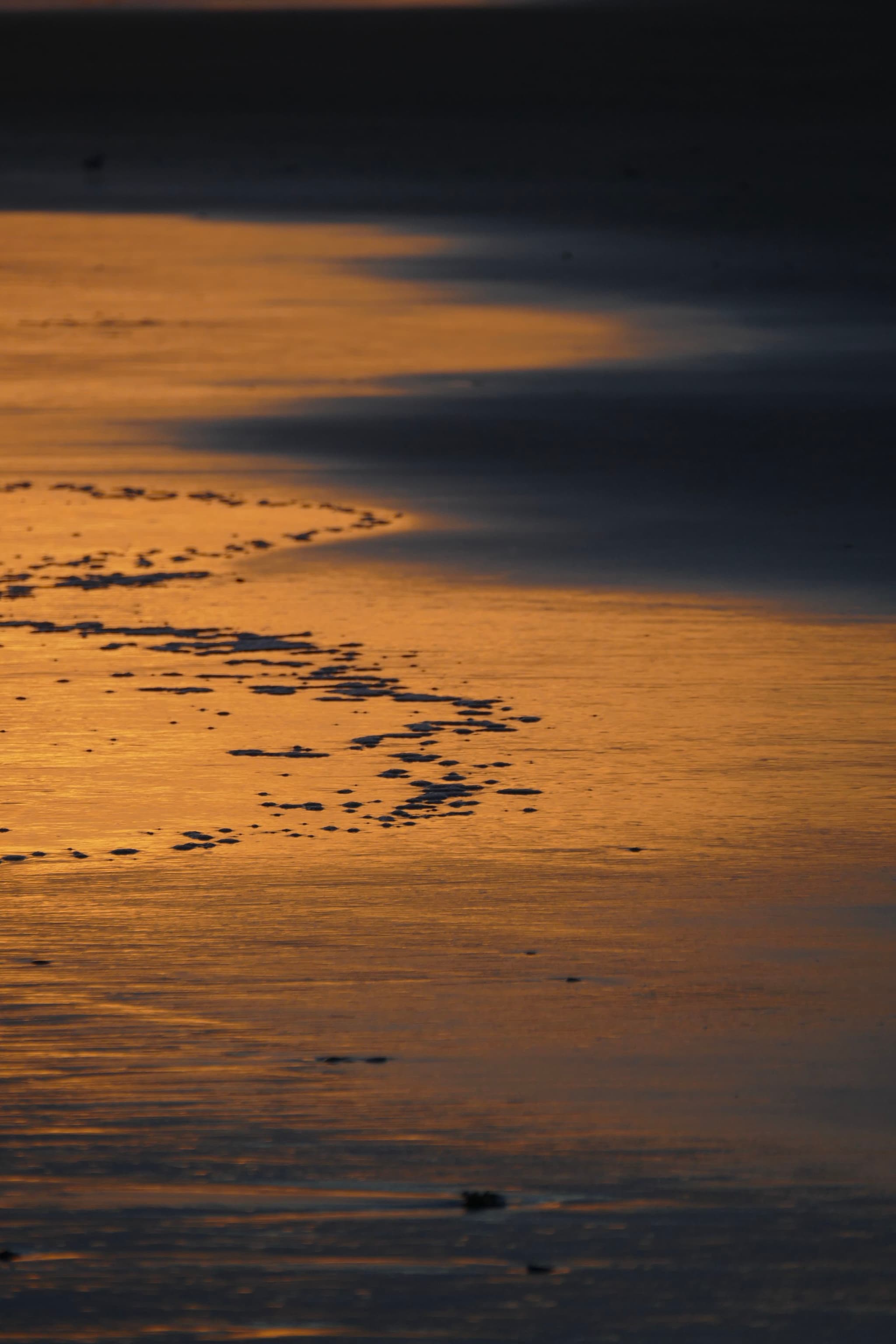 A beach shoreline at sunset with golden reflections on the wet sand