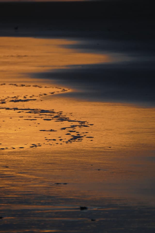 A beach shoreline at sunset with golden reflections on the wet sand